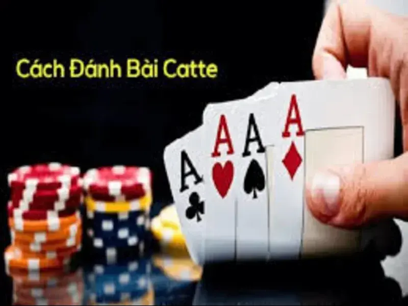 Luật chơi bài catte cơ bản