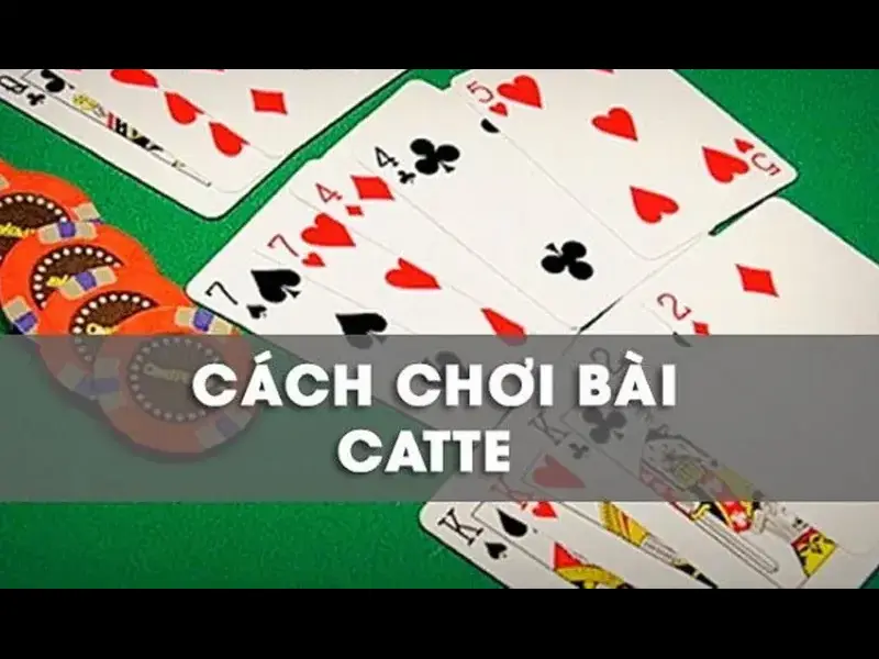 Hướng Dẫn Chơi Bài Catte Đơn Giản Dành Cho Người Mới Bắt Đầu